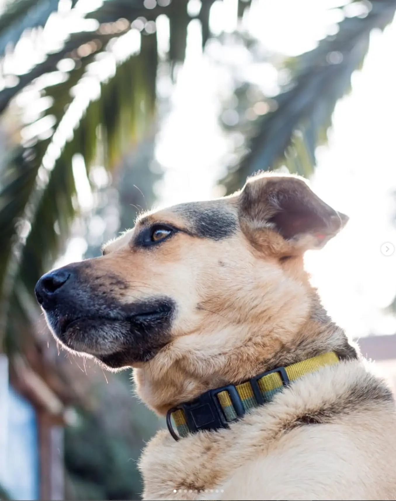 Captura de pantalla 2025-03-10 a la(s) 10.48.21 a. m.